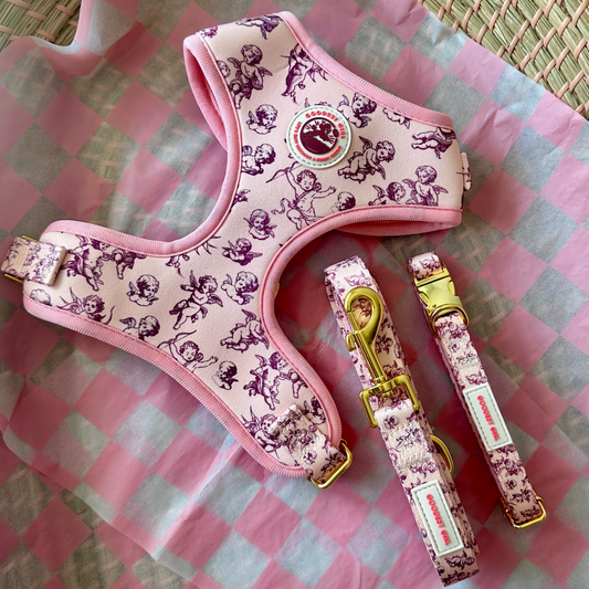 Cupid's Pup Pink Dog Harness, Collar & Lead Bundle - Goodest Girl 