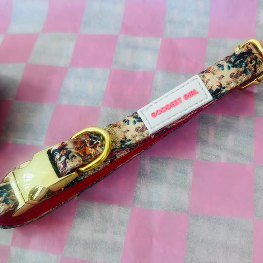 Tail of Venus Adjustable Dog Collar