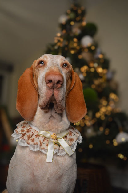 Gingerbread Festive Ruffle Dog Collar