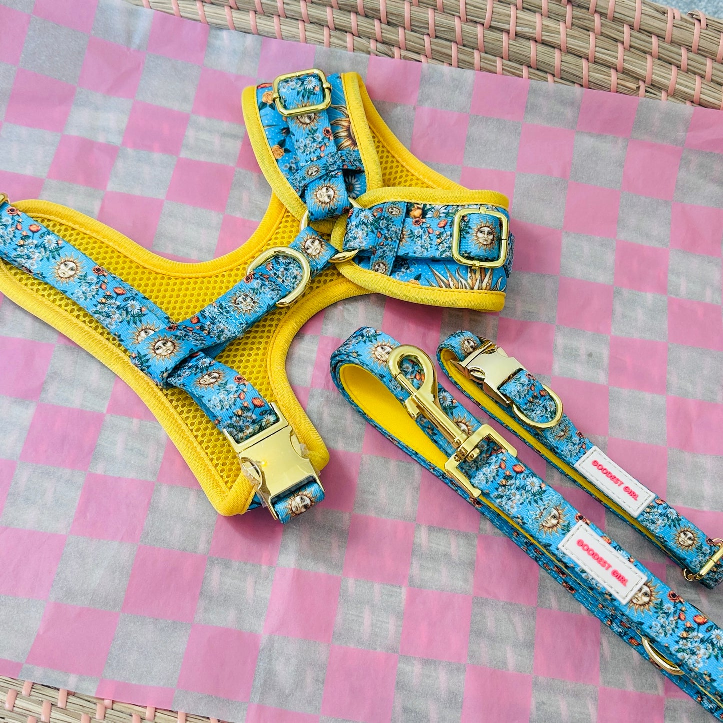 Midsummer Mutt Dog Harness, Collar & Lead Bundle