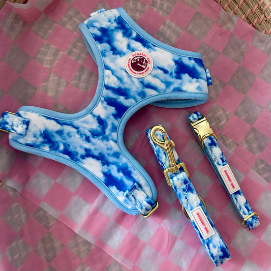 Heavenly Hound Dog Harness, Collar & Lead Bundle - Goodest Girl 