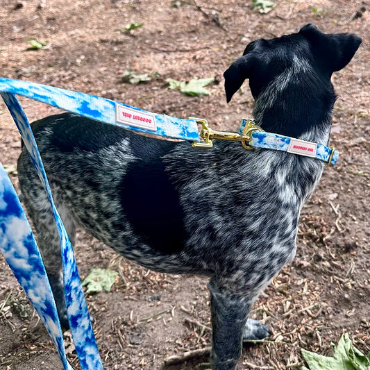 Heavenly Hound Adjustable Dog Collar - Goodest Girl 