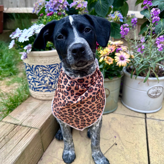 Brown Leopard Print Tie Up Dog Bandana - Goodest Girl 
