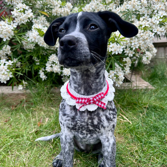 Red Scalloped Edge Soft Knitted Dog Collar - Goodest Girl 