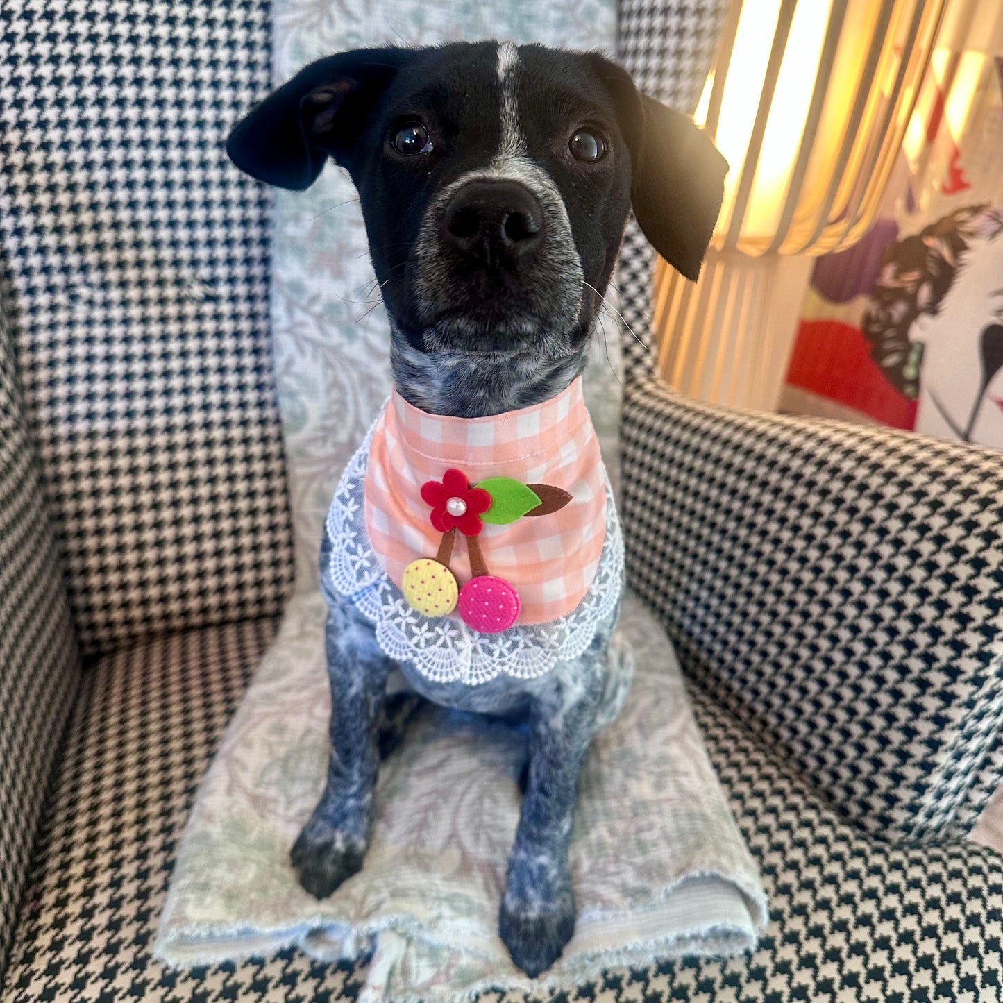 Orange Gingham Dog Bandana With Patchwork Cherry - Goodest Girl 