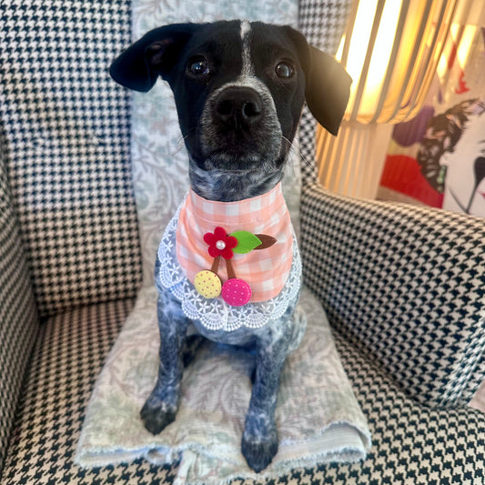 Orange Gingham Dog Bandana With Patchwork Cherry - Goodest Girl 
