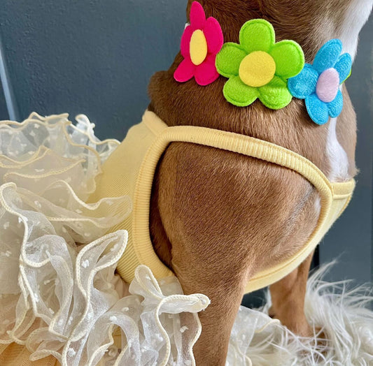 Adjustable Multicoloured Flower Dog Collar - Goodest Girl 