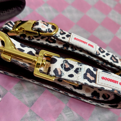 Roars & Paws Adjustable Dog Collar