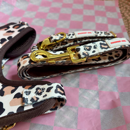 Roars & Paws Adjustable Dog Collar