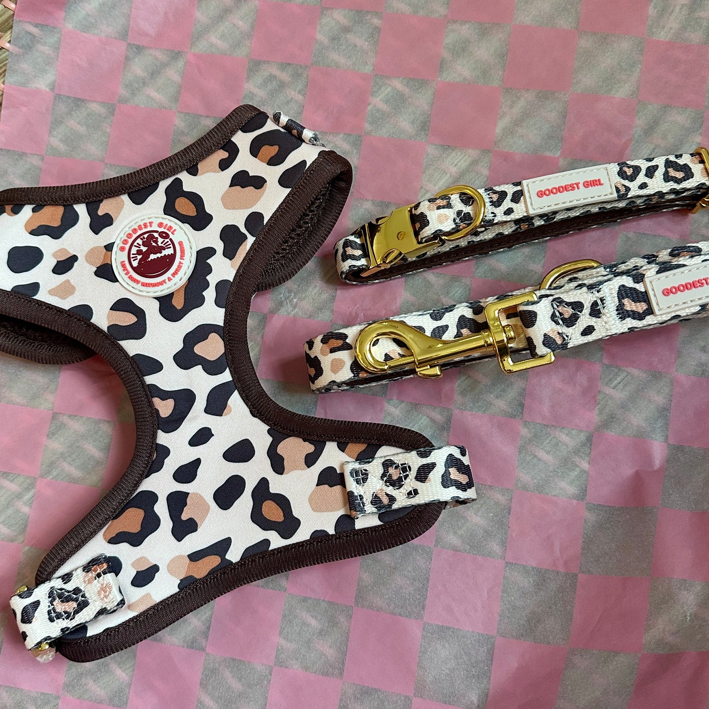 Roars & Paws Dog Harness, Collar & Lead Bundle