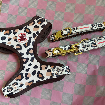 Roars & Paws Dog Harness, Collar & Lead Bundle