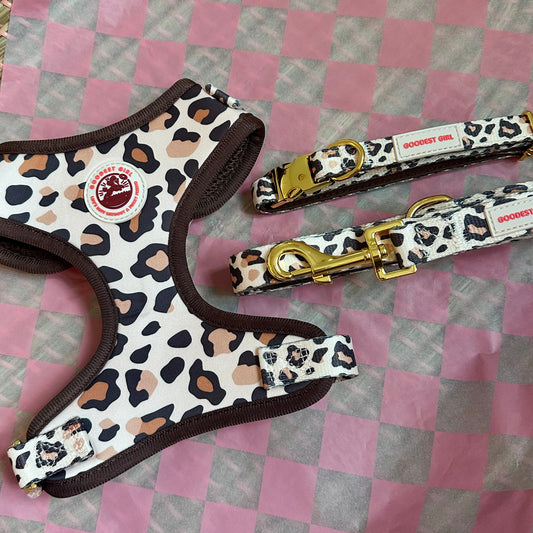 Roars & Paws Dog Harness, Collar & Lead Bundle