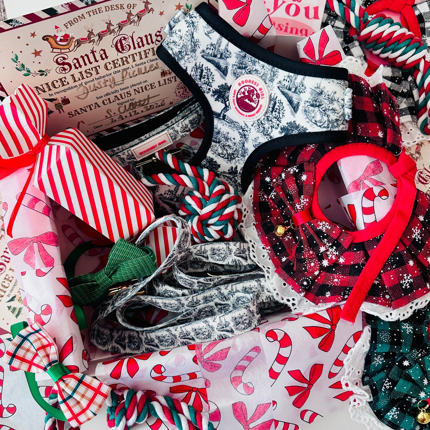 Pawliday Parcel - Dog Christmas Hamper