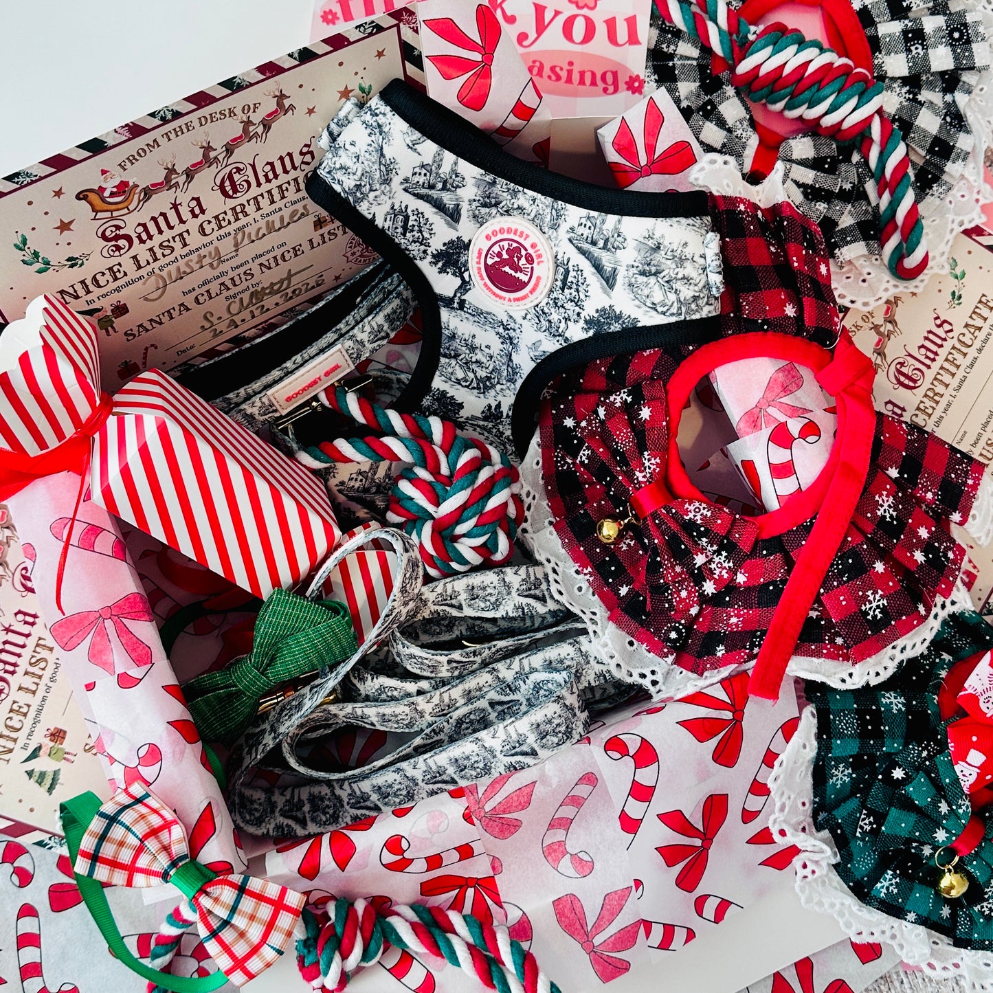 Pawliday Parcel - Dog Christmas Hamper