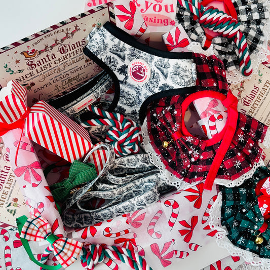 Pawliday Parcel - Dog Christmas Hamper
