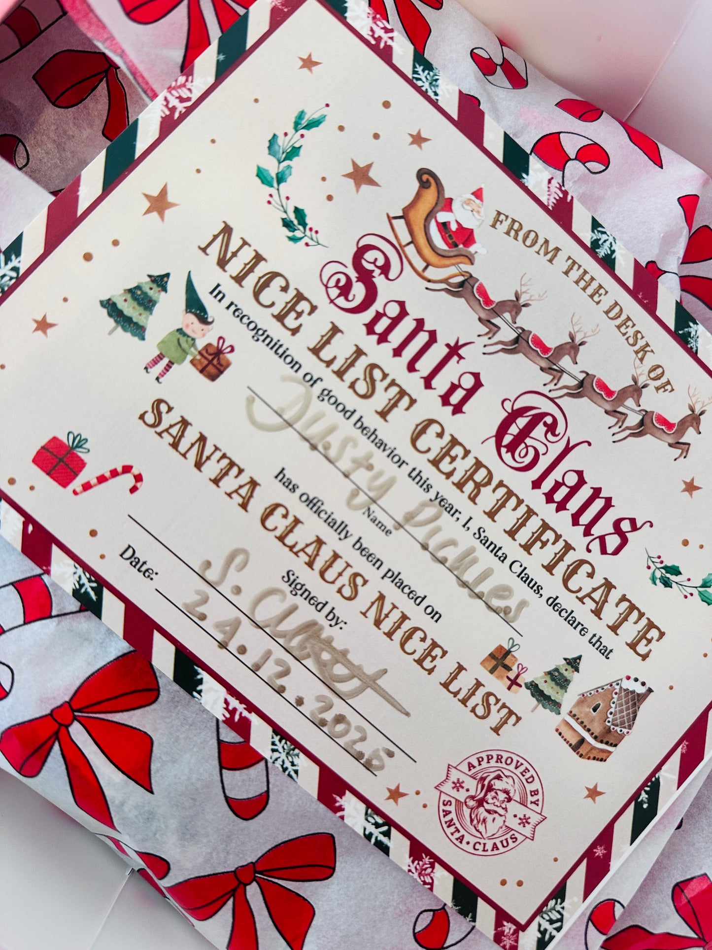 Pawliday Parcel - Dog Christmas Hamper