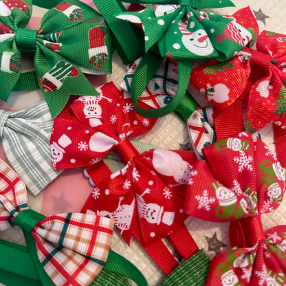 Pawliday Parcel - Dog Christmas Hamper