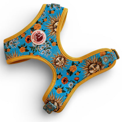 Midsummer Mutt Adjustable Dog Harness
