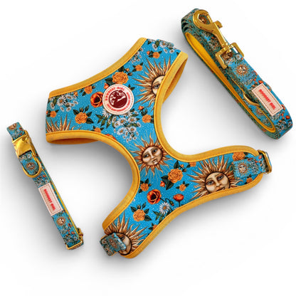 Midsummer Mutt Adjustable Dog Harness
