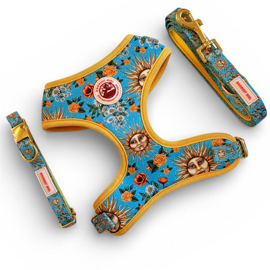 Midsummer Mutt Dog Harness, Collar & Lead Bundle