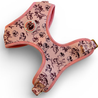Cupid's Pup Dog Harness, Collar & Lead Bundle