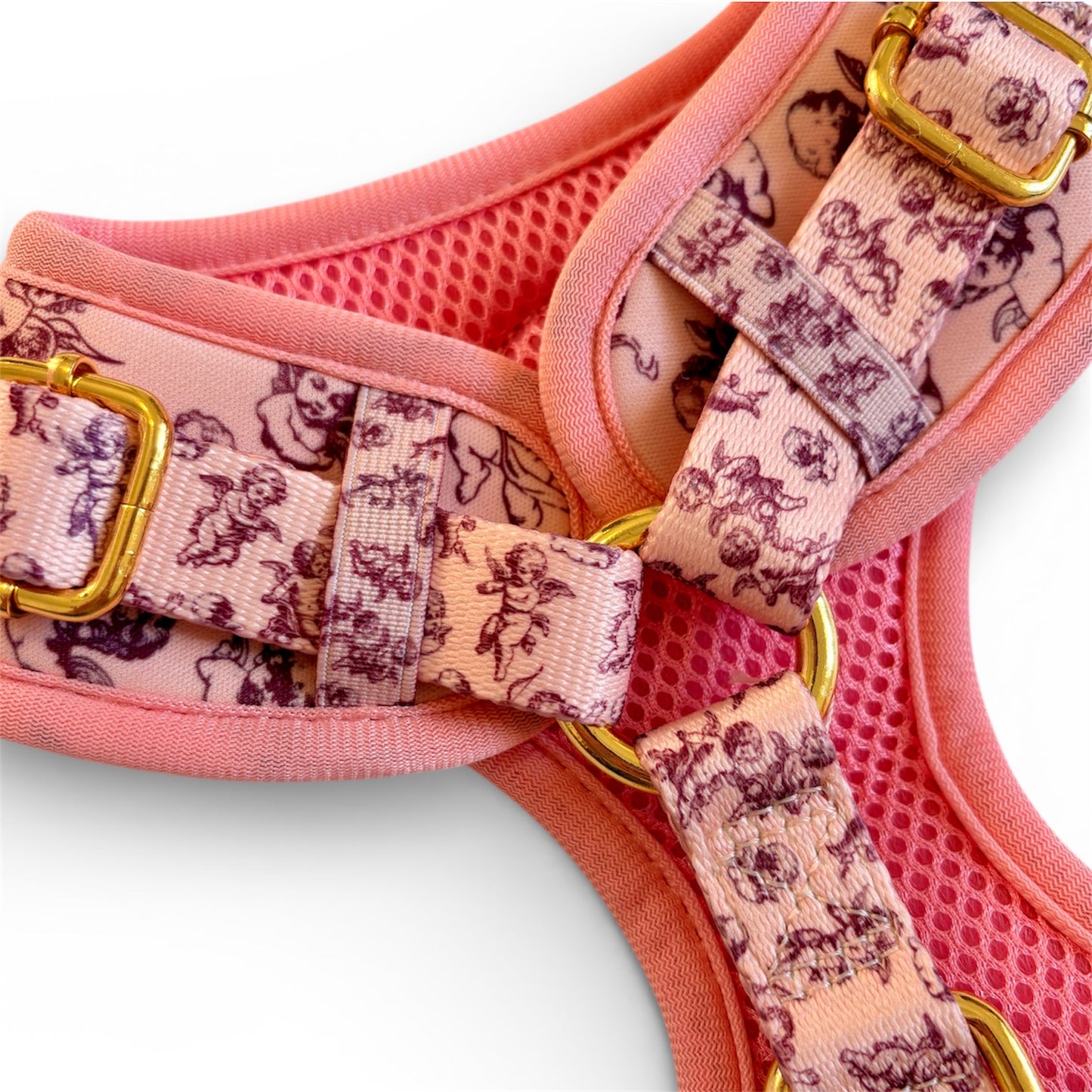 Cupid's Pup Dog Harness, Collar & Lead Bundle