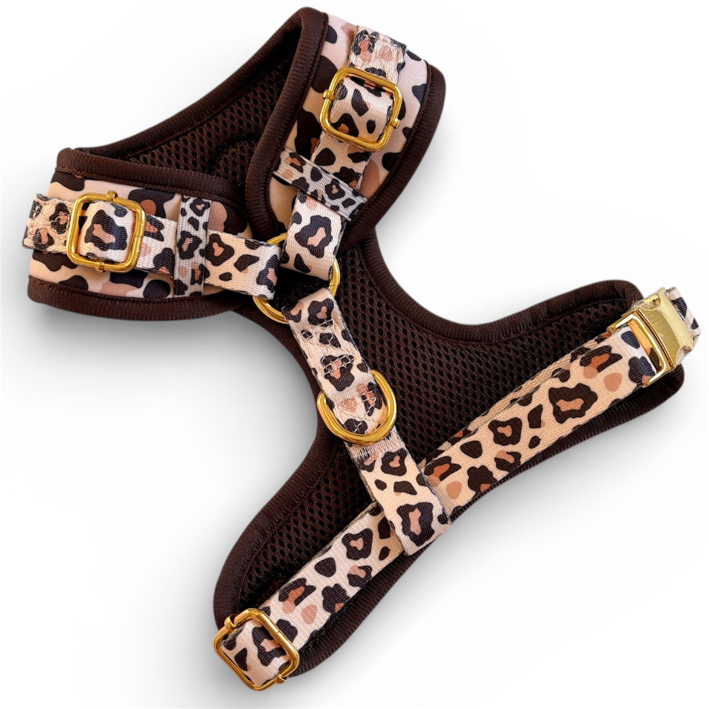 Roars & Paws Dog Harness, Collar & Lead Bundle