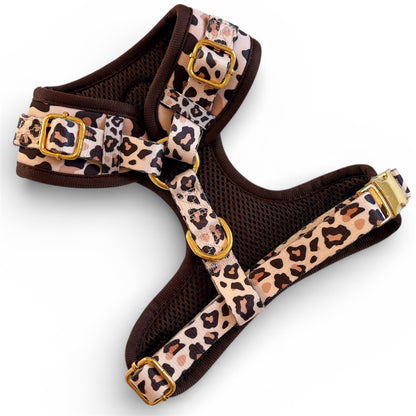 Roars & Paws Dog Harness, Collar & Lead Bundle