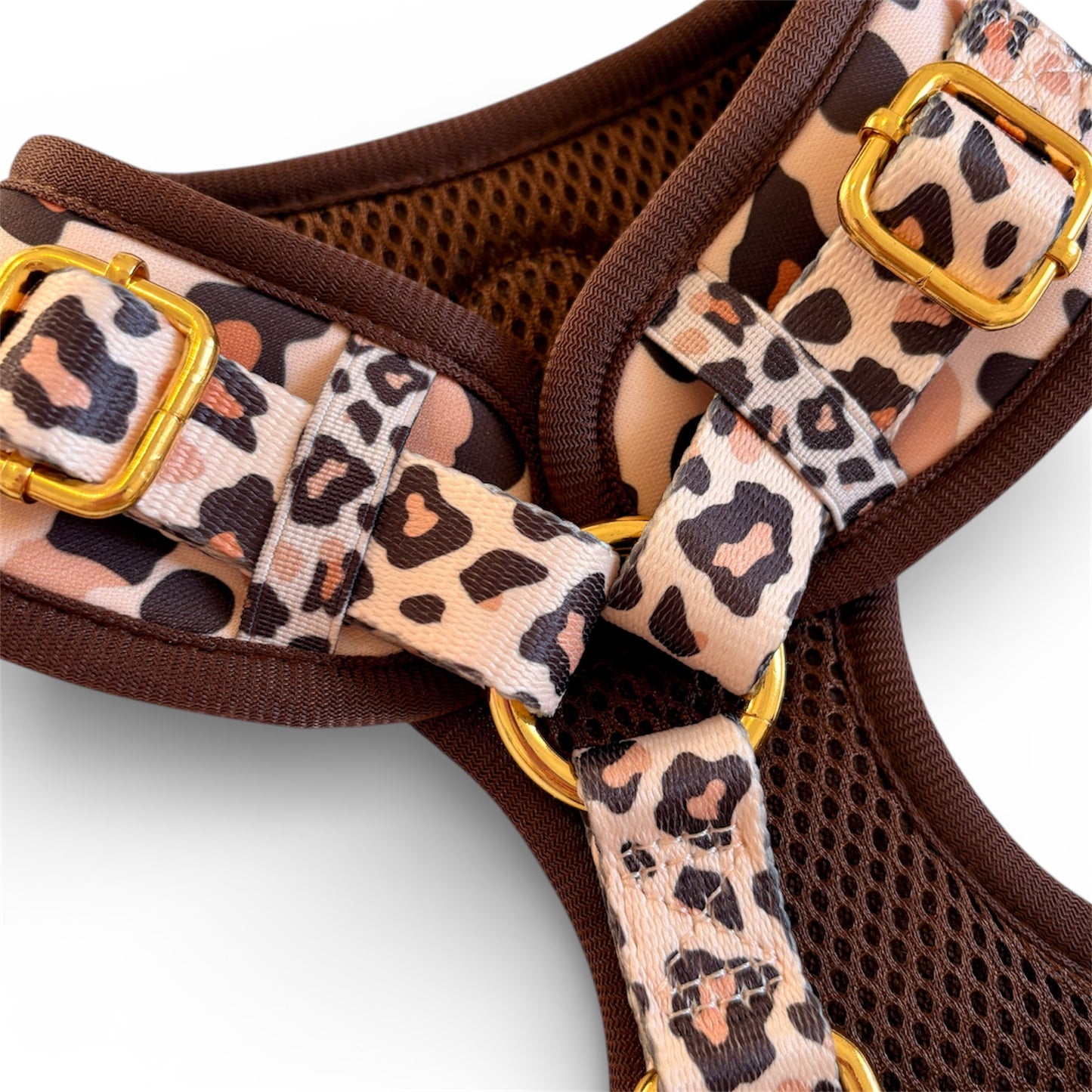 Roars & Paws Dog Harness, Collar & Lead Bundle