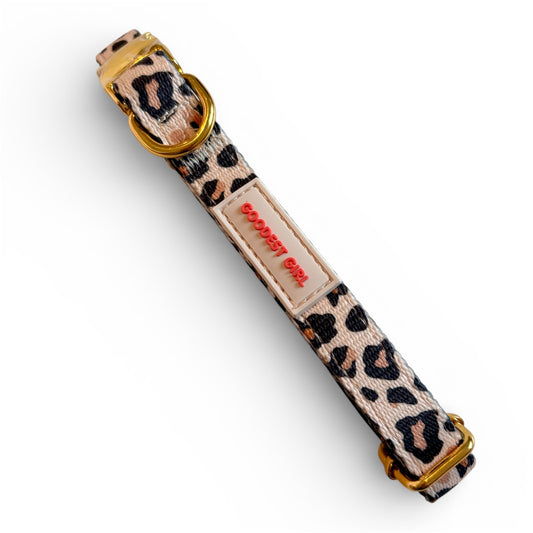 Roars & Paws Adjustable Dog Collar
