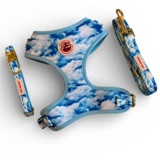 Heavenly Hound Dog Harness, Collar & Lead Bundle