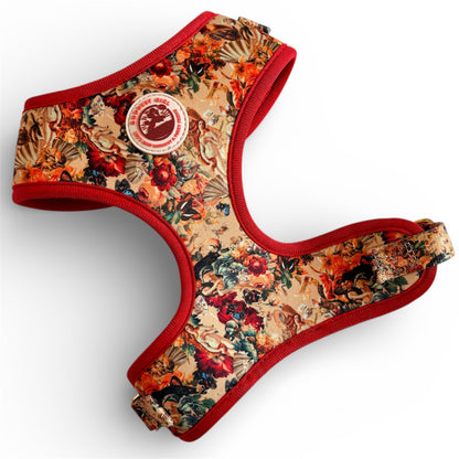 Tail of Venus Dog Harness, Collar & Lead Bundle