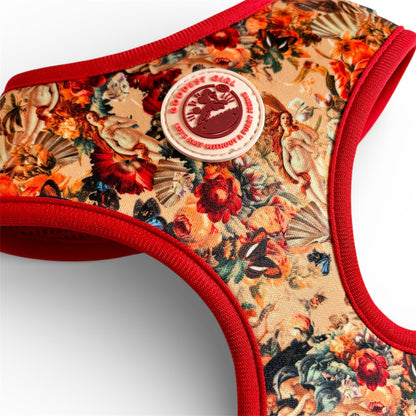 Tail of Venus Dog Harness, Collar & Lead Bundle