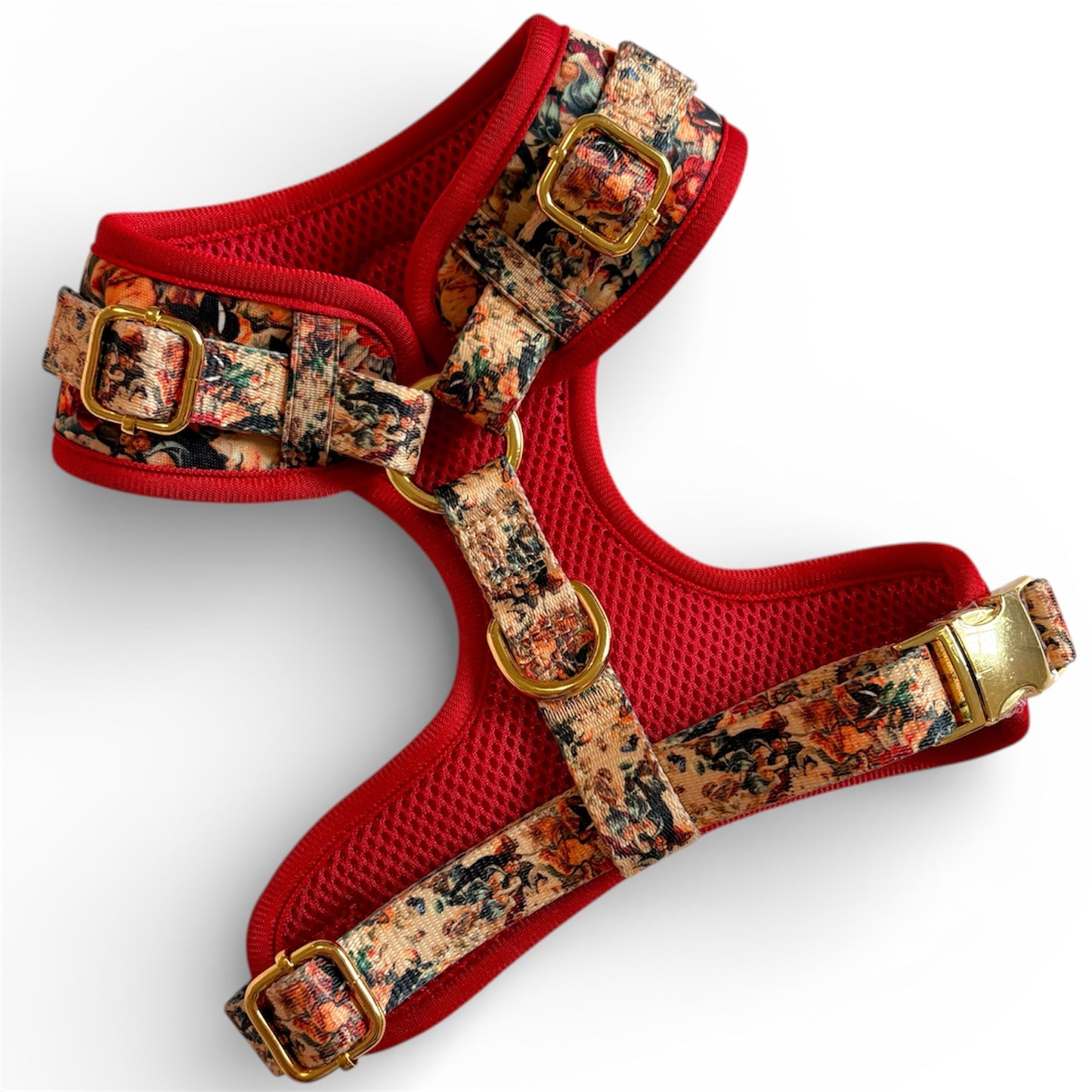 Tail of Venus Dog Harness, Collar & Lead Bundle