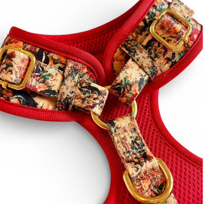 Tail of Venus Dog Harness, Collar & Lead Bundle