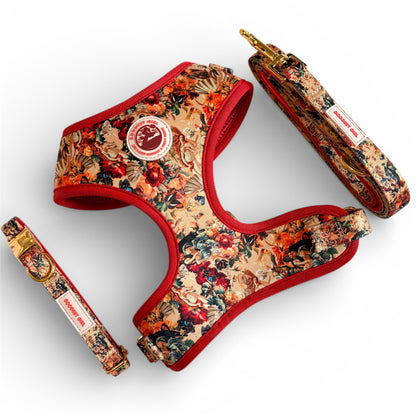 Tail of Venus Dog Harness, Collar & Lead Bundle