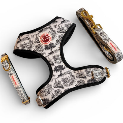 Pup de Jouy Harness, Collar & Lead Bundle