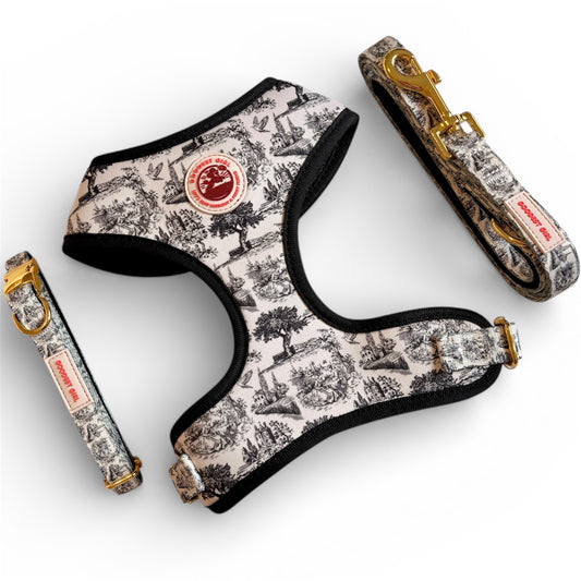 Pup de Jouy Harness, Collar & Lead Bundle