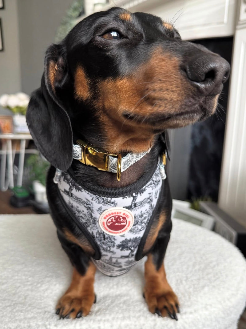 @bert.ivy.thesausages