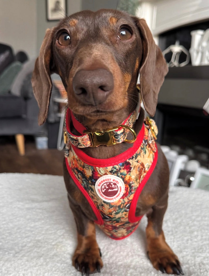 @bert.ivy.thesausages
