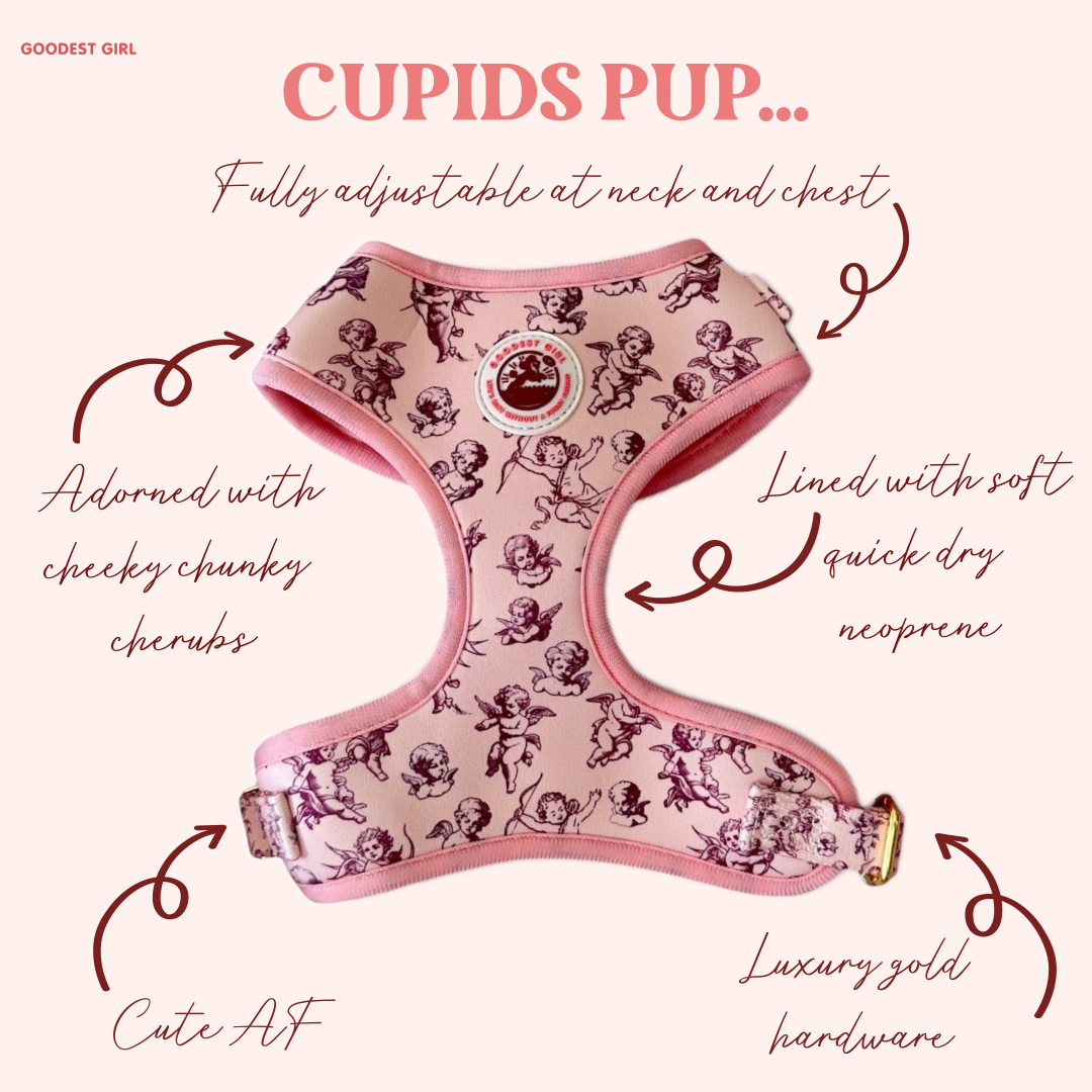 Cupid's Pup Adjustable Dog Harness