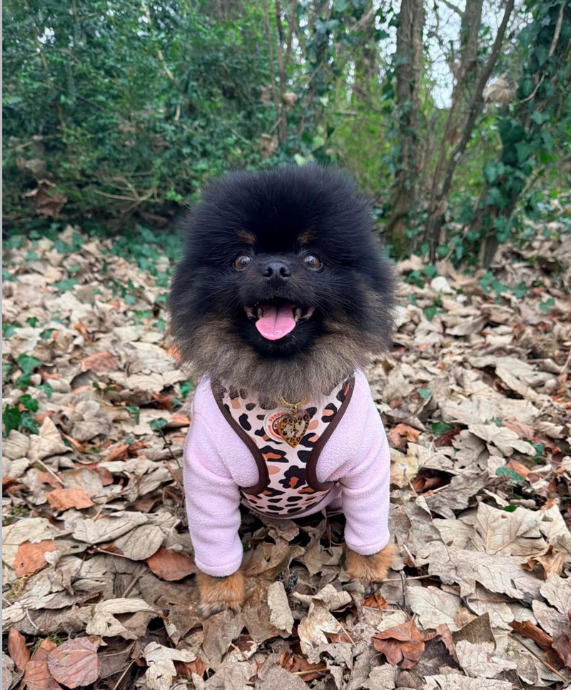 @i.am.teddypompom